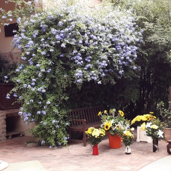 3d458ab1-f0cc-4137-9bf6-4455241296ed